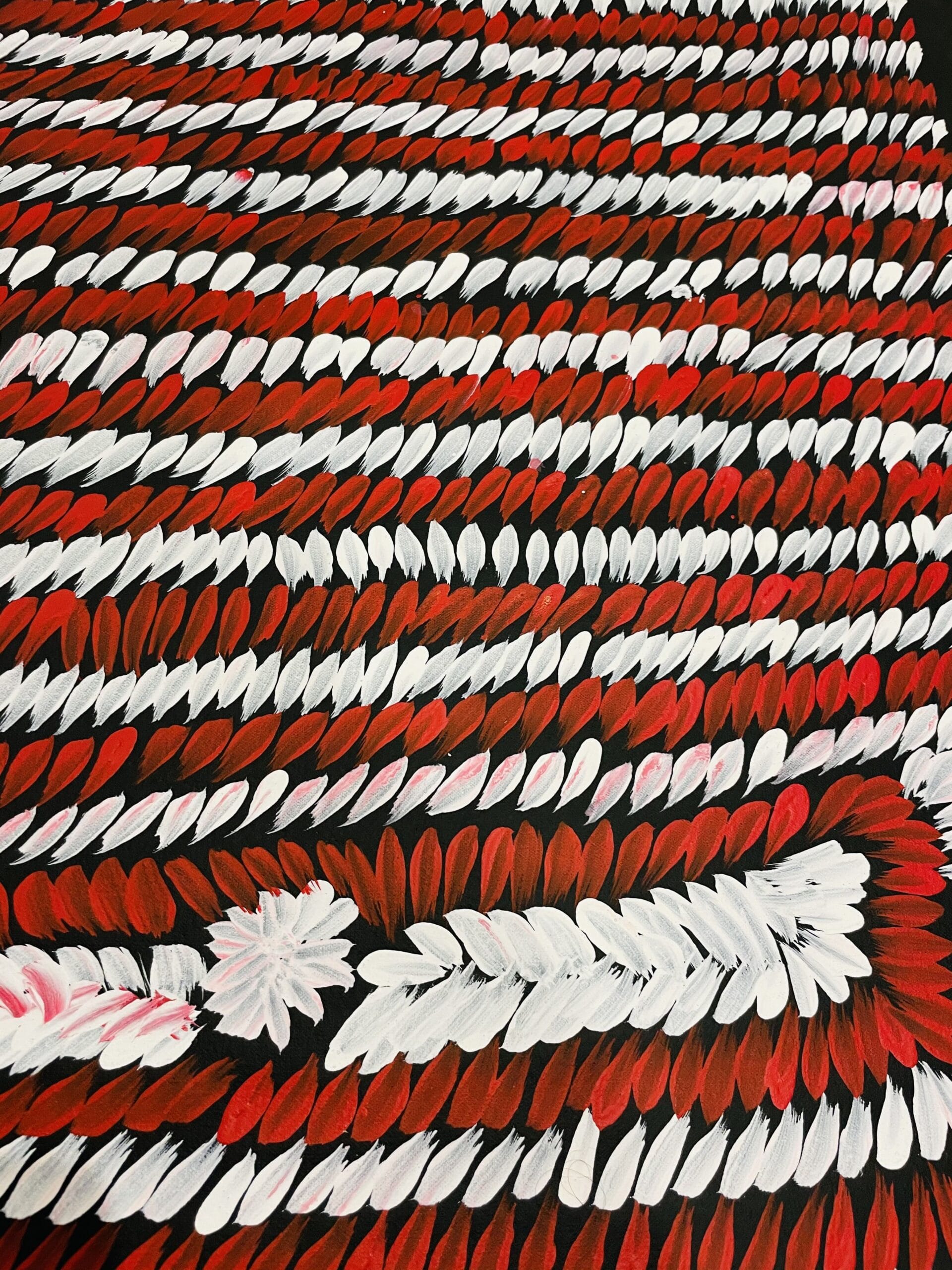 Barbara Pananka - Bush Medicine Leaves - 96x78cm -  - North Sydney Shop - Image 5