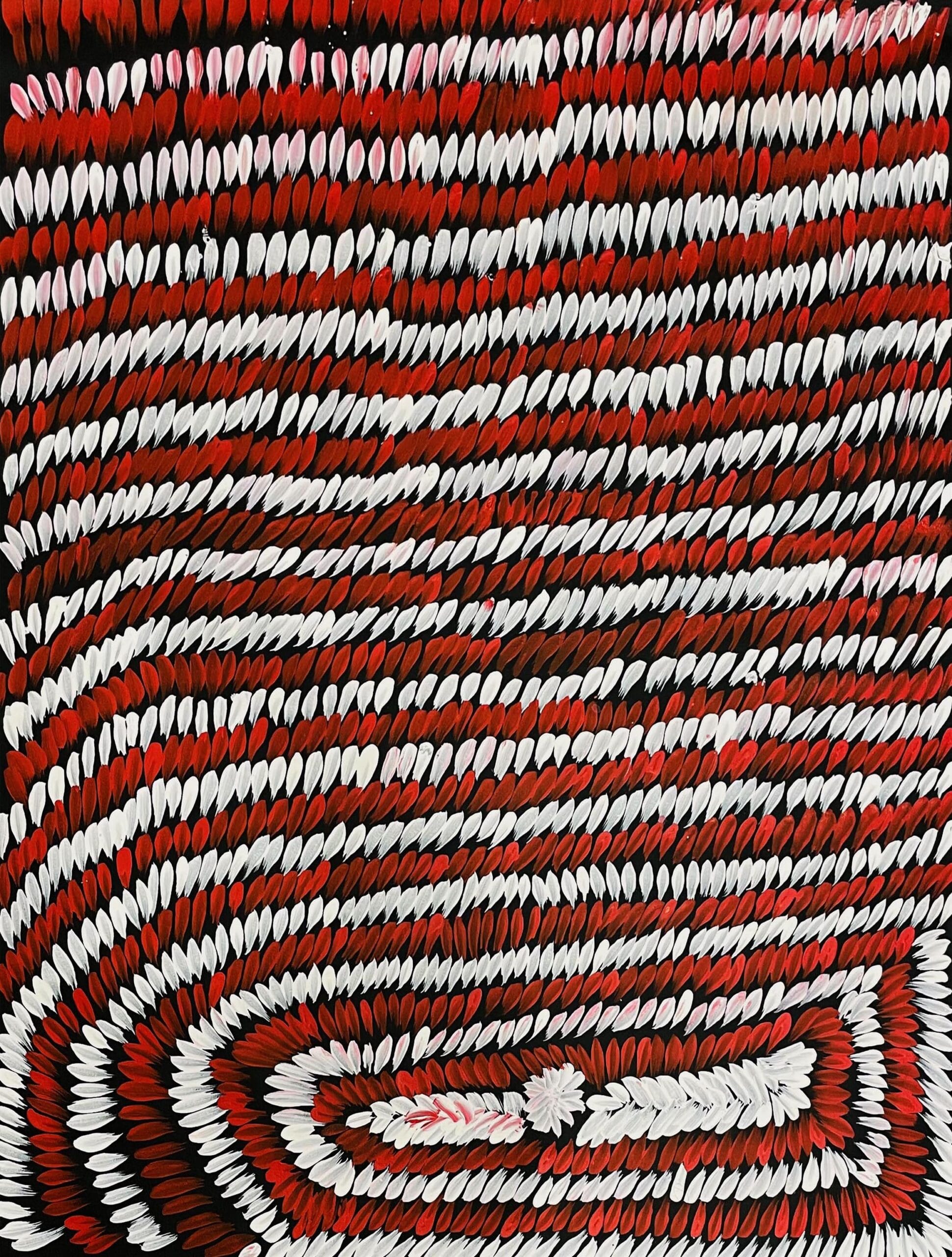 Barbara Pananka - Bush Medicine Leaves - 96x78cm -  - North Sydney Shop - Image 6