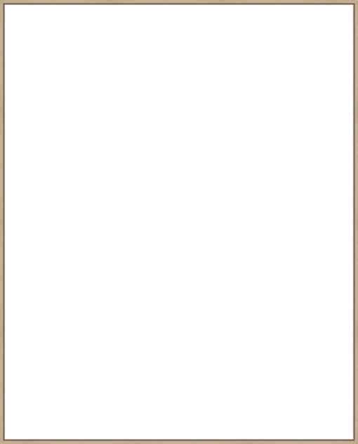 Frame Your Canvas Art