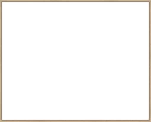 Frame Your Canvas Art