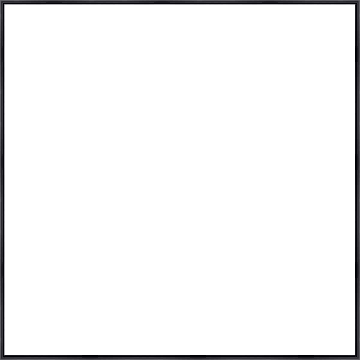 Frame Your Canvas Art