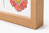 Shadow Box