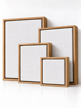 4 x Artist Blank Canvas & Floating Frame Assorted Sizes