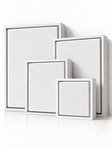 4 x Artist Blank Canvas & Floating Frame Assorted Sizes