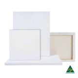 4 x Artist Blank Canvas Assorted Sizes