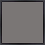 Canvas Print & Frame