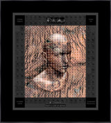 Canvas Print & Frame