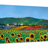 Canvas Print & Stretch