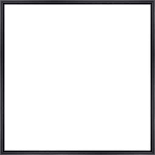Frame Your Canvas Art